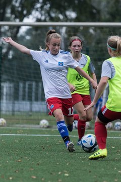 Bild 256 - C-Juniorinnen HSV - Walddoerfer : Ergebnis: 9:1